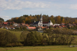 zih1